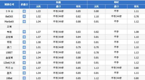 2024新澳门今晚开奖结果+开奖|准确资料解释落实_旗舰版IOS.2.600